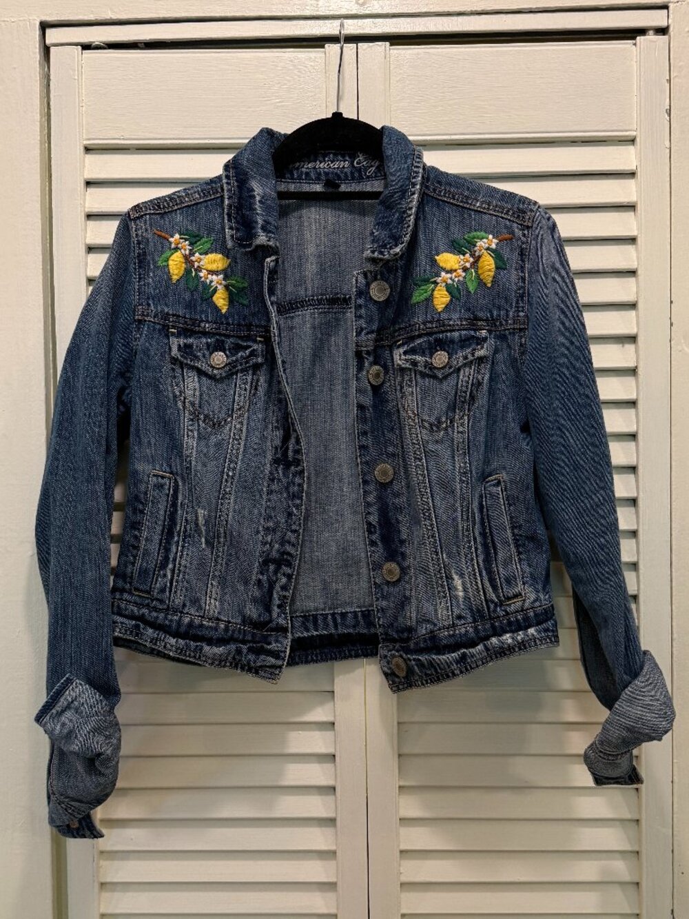 American Eagle Outfitters Blue Denim Embroidered Lemon Jacket - Picture 2 of 5